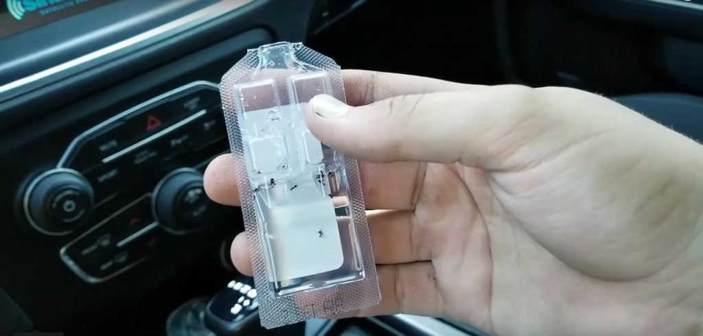 how to get rid of ants in car