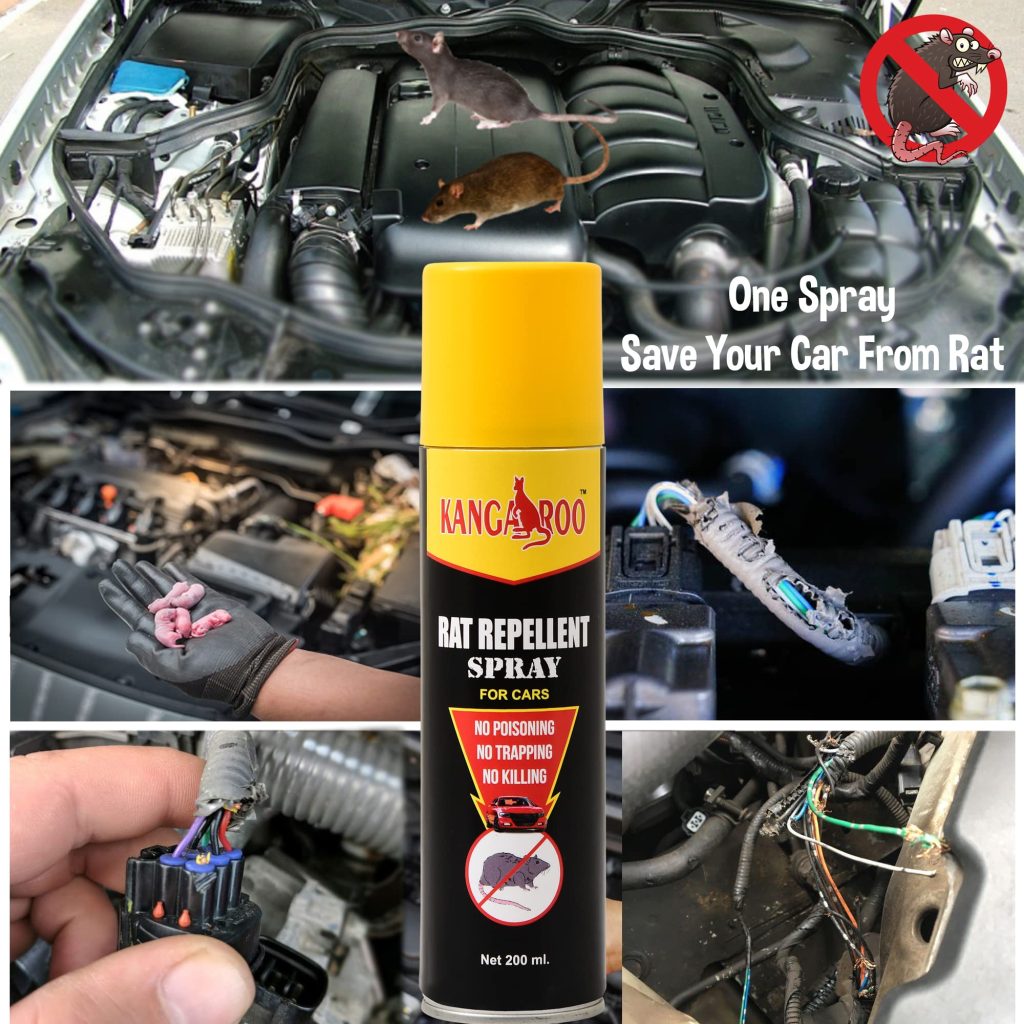 How to avoid rats in car